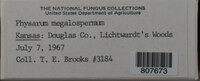 Image Associated With the Occurence